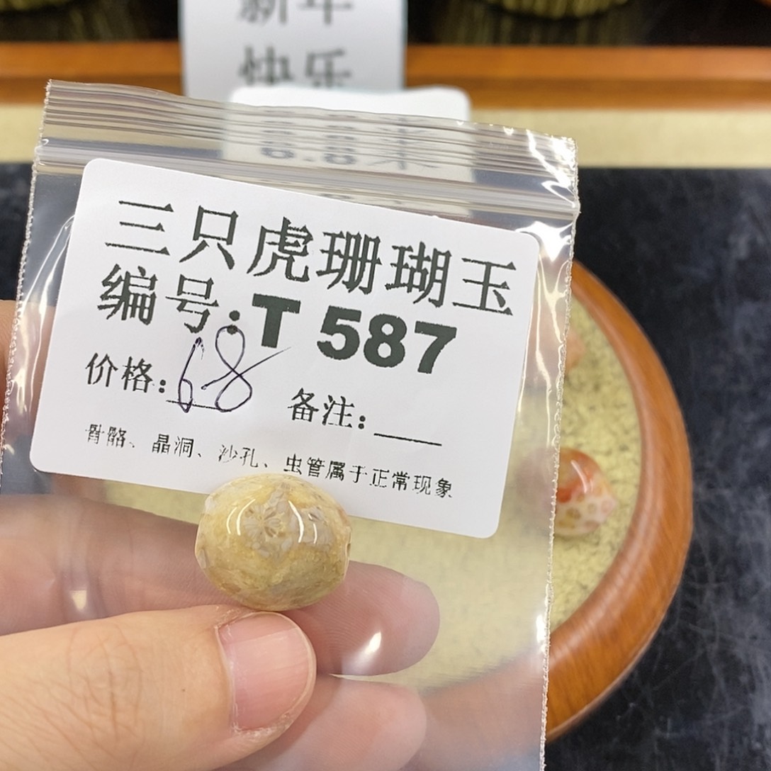 硅化珊瑚（珊瑚玉）1未镶嵌换**考