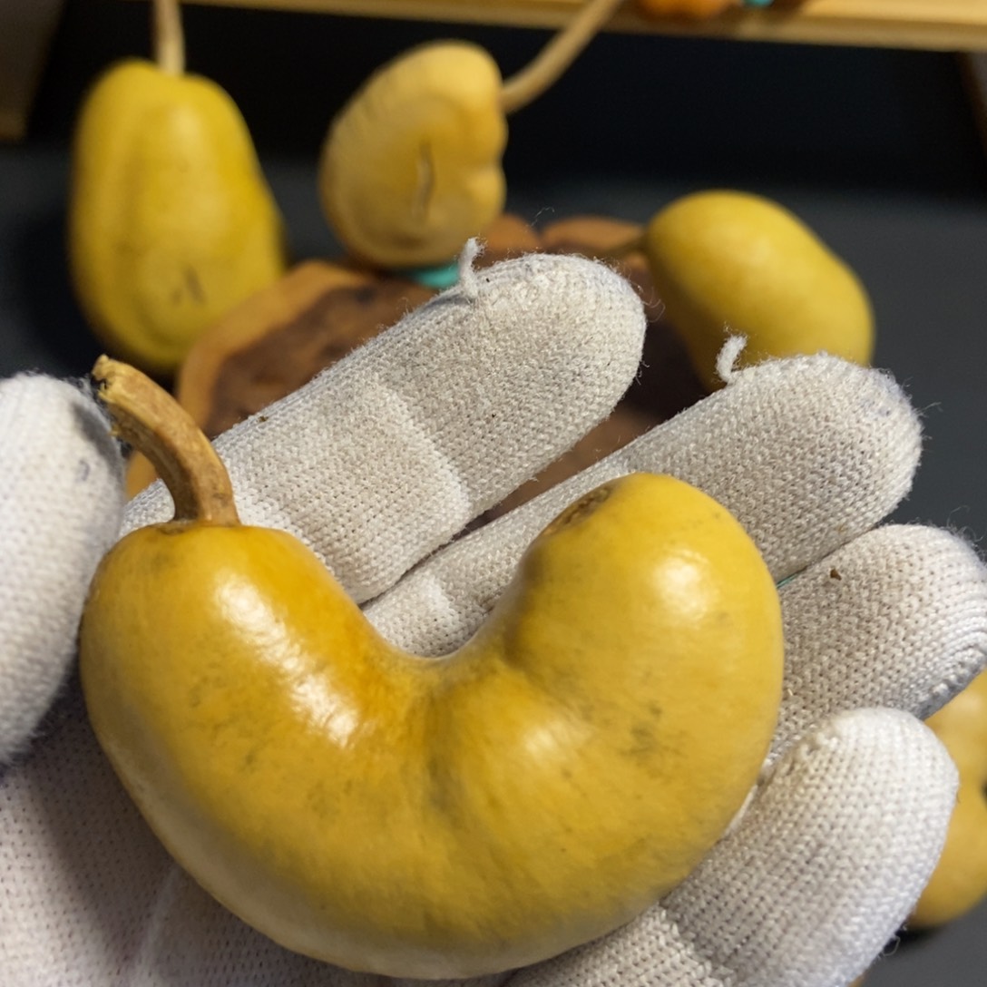 璞*葫芦葫芦真的