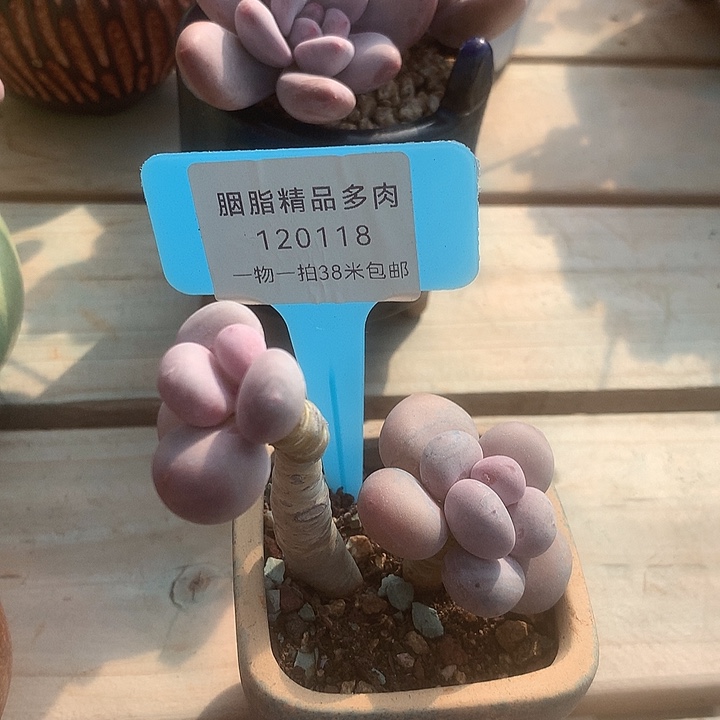 120118，木架啦啊咯装修