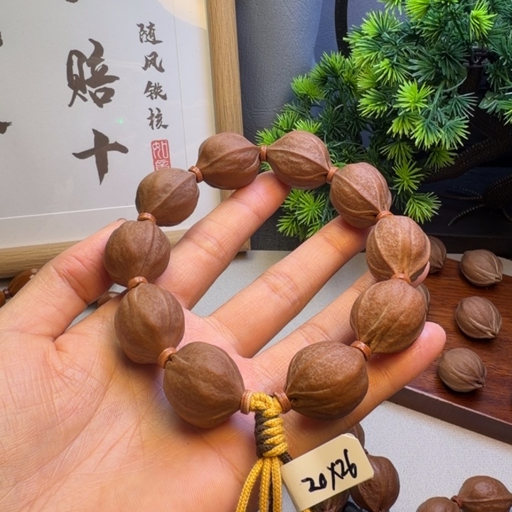 文***～橄榄核其他梅林铁核2026尺寸