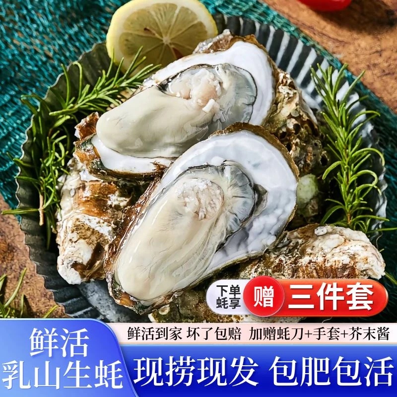 【小夕专属】乳山生蚝牡蛎源产地现捞直发 鲜活到家 8斤装 顺丰发货