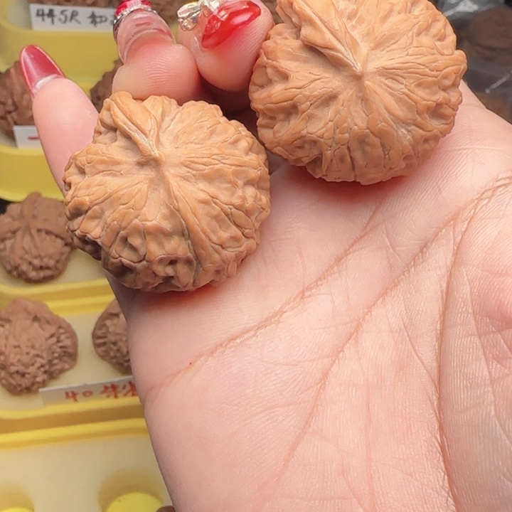 *****弯弯核桃共等功等功能一帆风顺