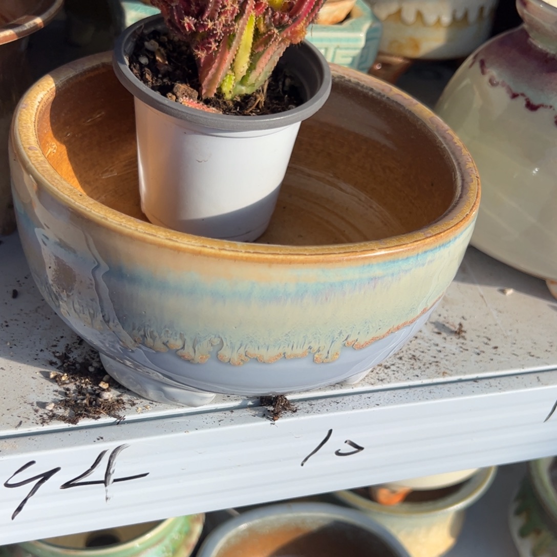 *****大乌龟盆淡紫色带万重山锦