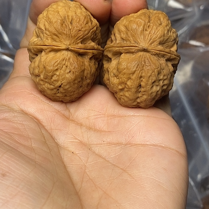 把件文玩核桃云南铁核桃39