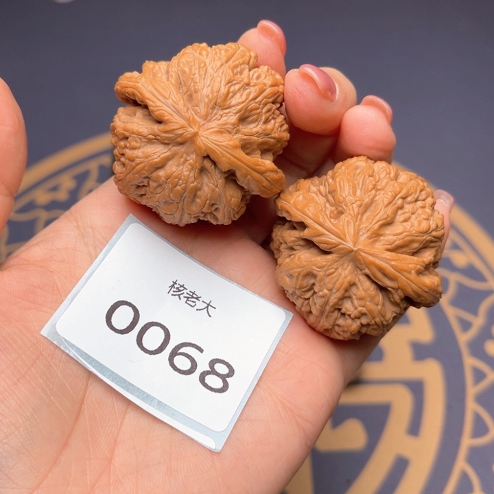 文玩核桃把件41大粗筋