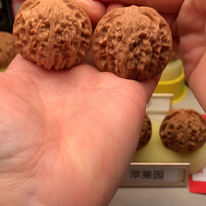 文玩核桃吊坠38.5尺全品磨盘663号