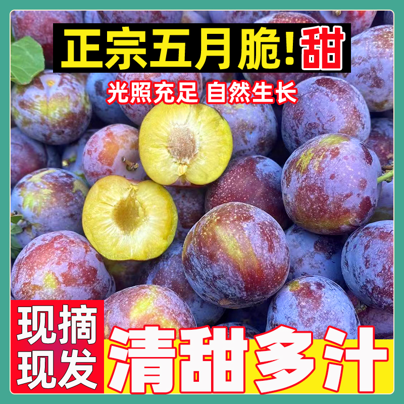 蜀和春正宗四川李子脱骨李五月脆应季脆红李新鲜水果整箱大李子