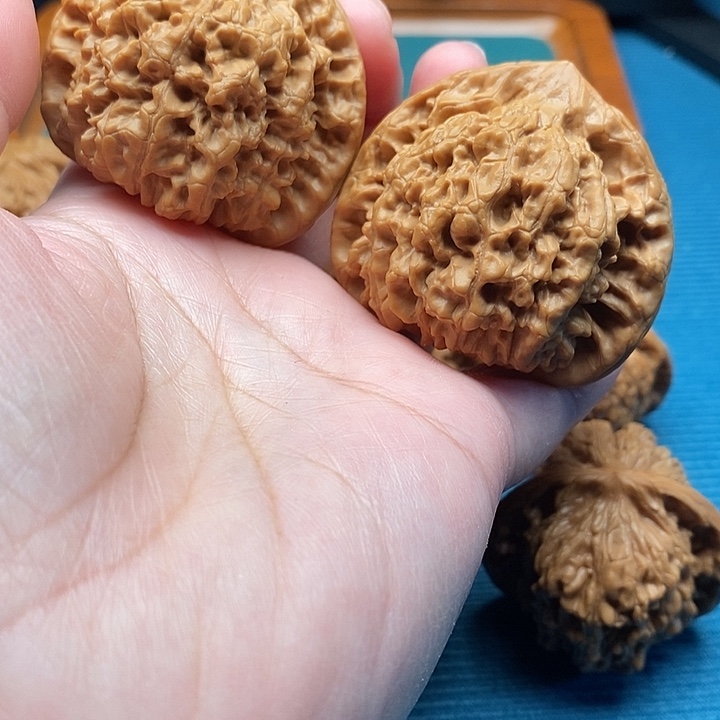 官帽49已打底手把件