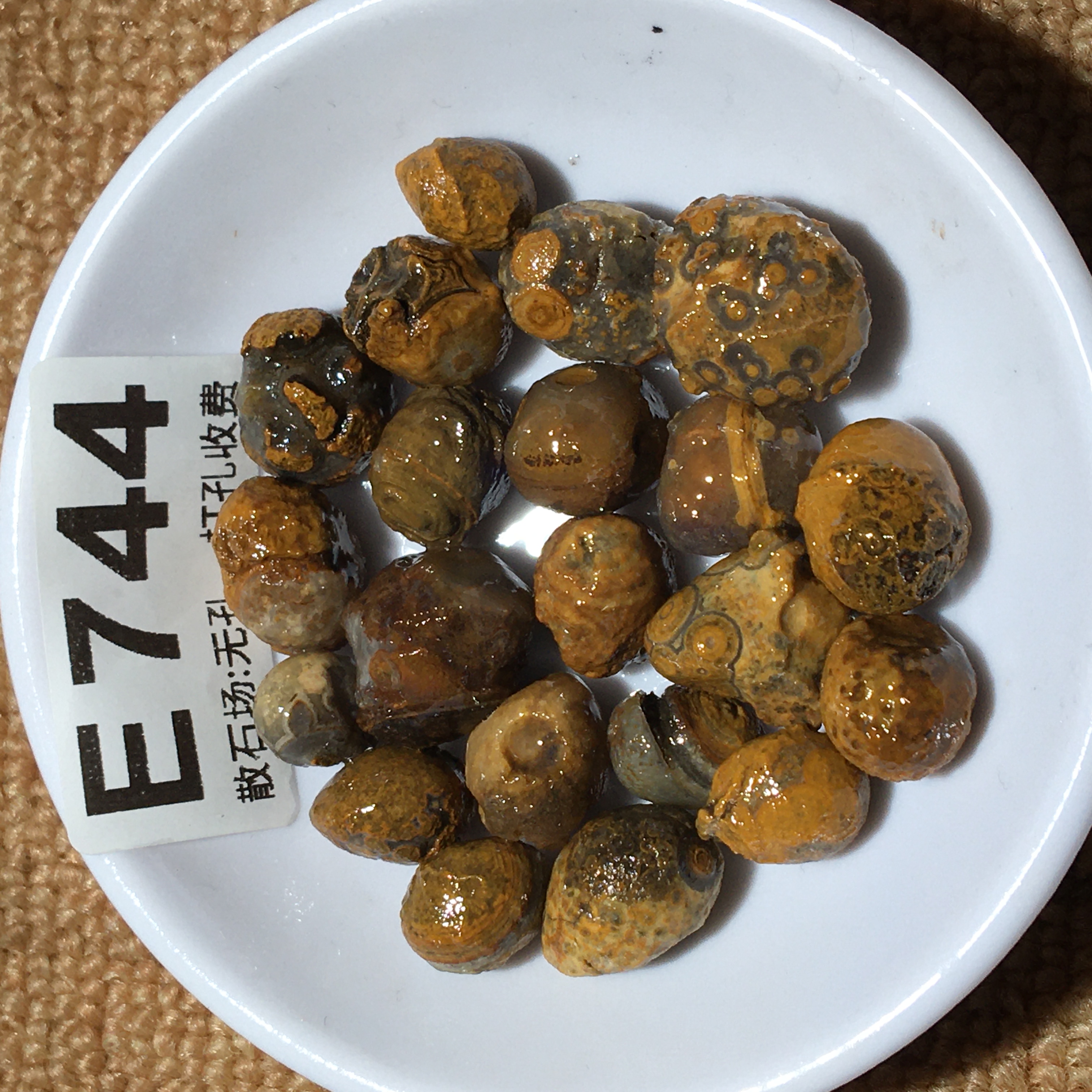 E744-E748钱币石阿拉善原石戈壁石天然糖心彩珠diy鱼缸石盆栽石