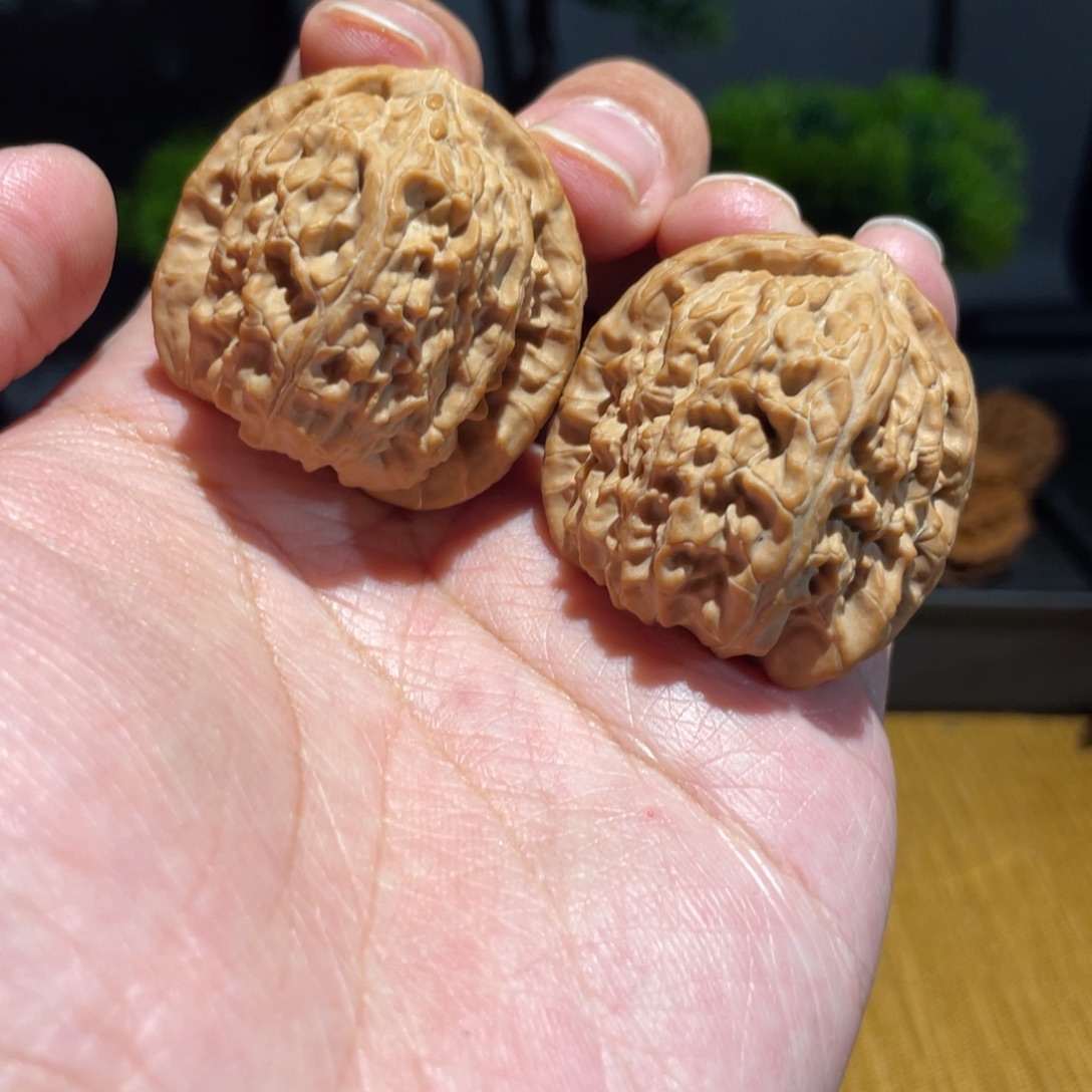 臭***狗文玩核桃把件38白狮子全家福357