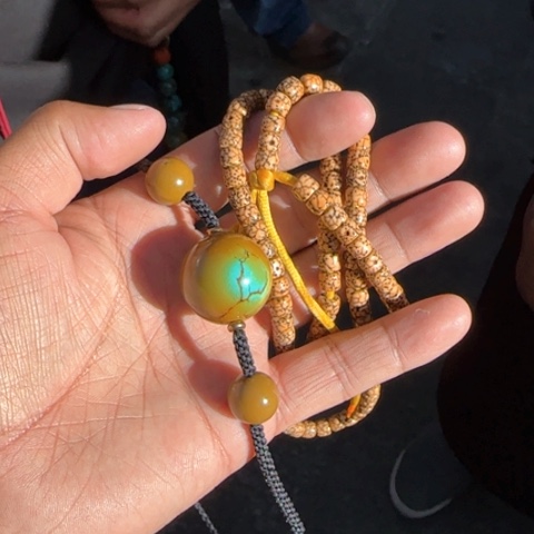 白玉菩提吊坠A***冬菩提树等树木的生长发育和