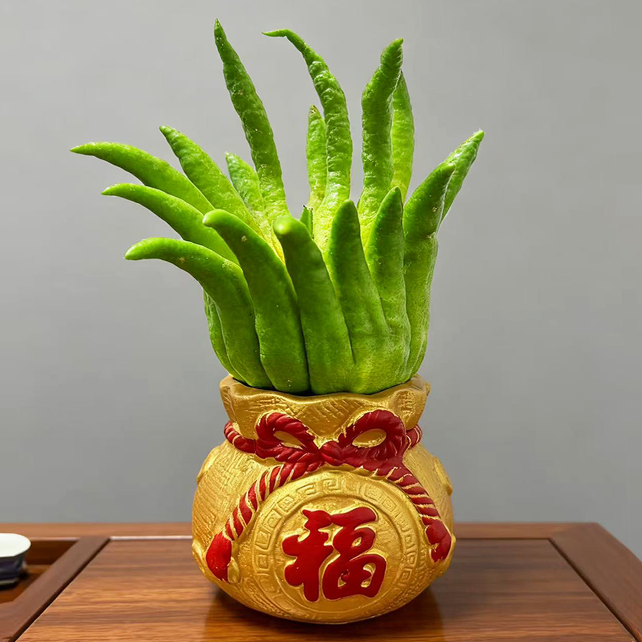 福字花盆（底部有孔） 家用花瓶多肉盆盆景盆栽花盆