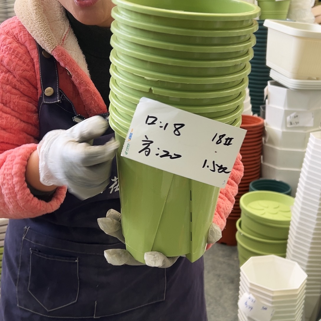 瑕疵Q18#果绿色10个无托