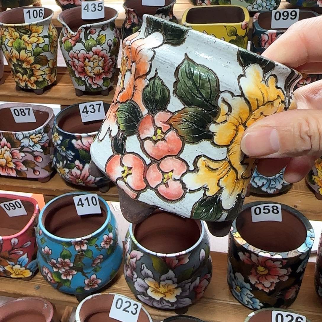 红陶?17566666555566