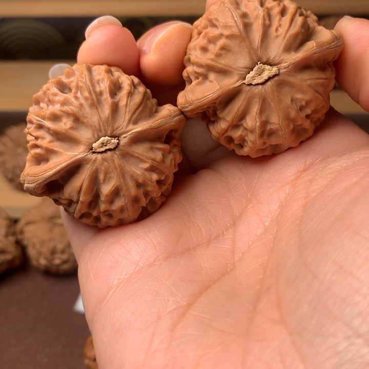 湛***蓝大叶紫檀（黑酸枝木类）宫灯6米开后为大屏幕上