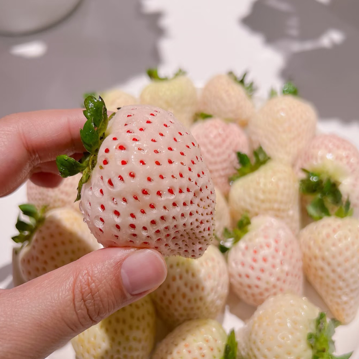 【配送到家】淡雪白草莓一斤 大果