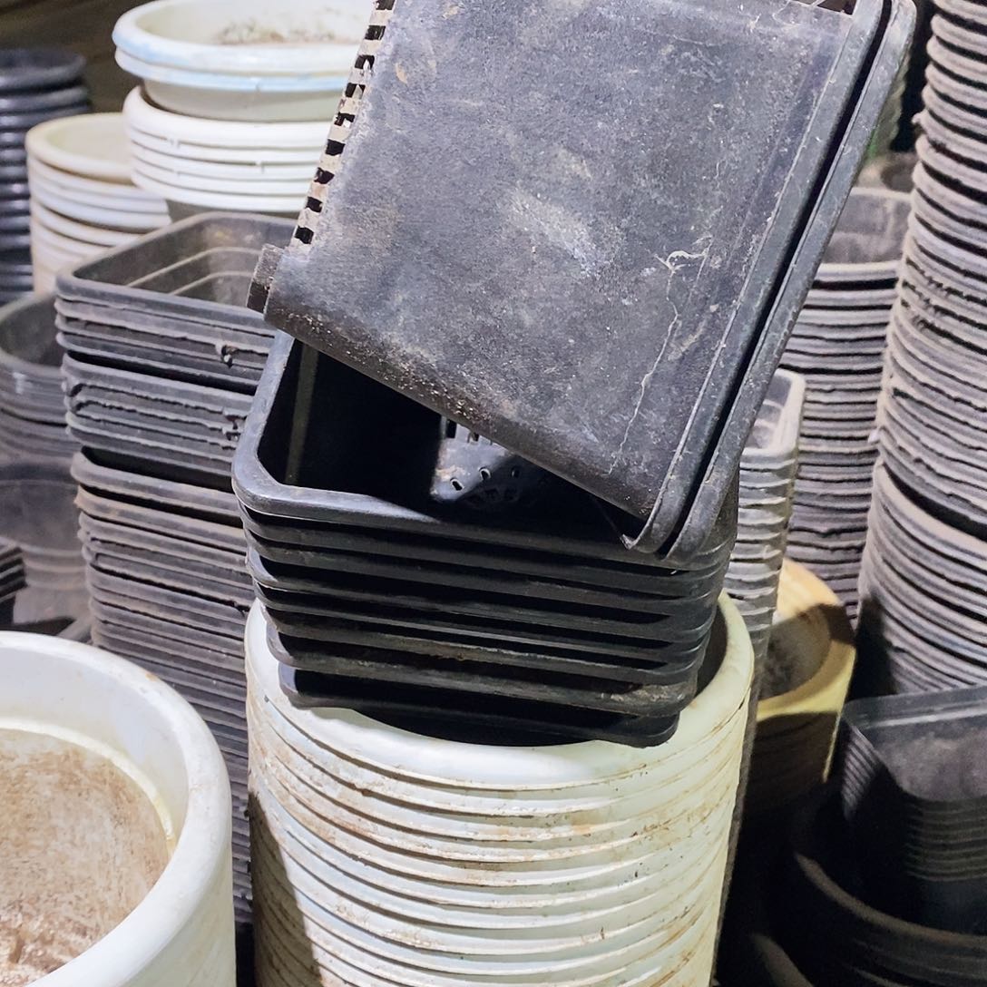 塑料旧12公分黑方盆加厚30个 