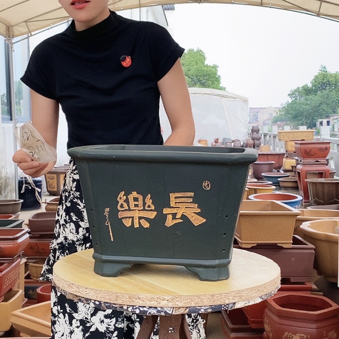 紫砂花盆紫砂花盆