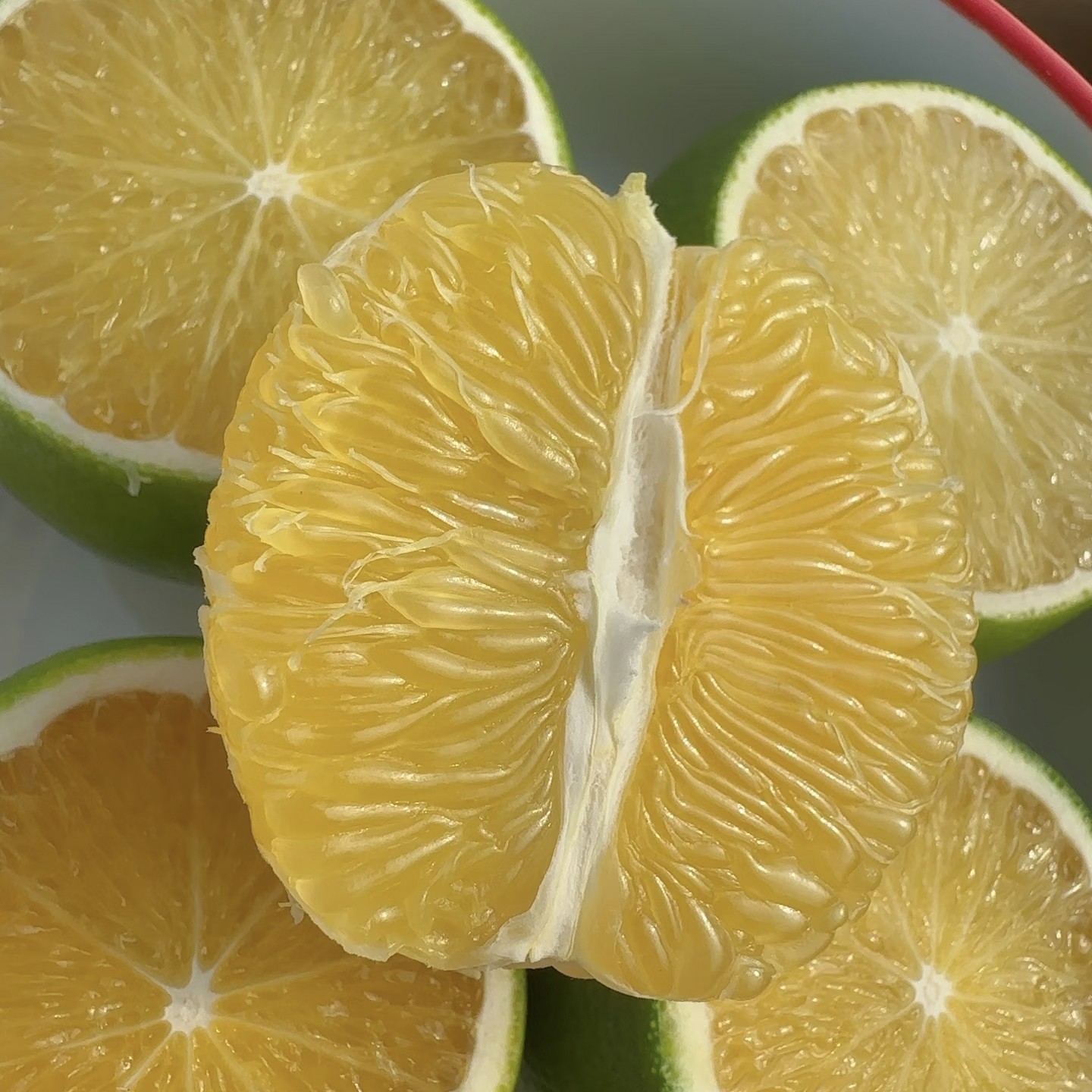 【九里花田】哀牢山冰糖橙优选-不参与凑单