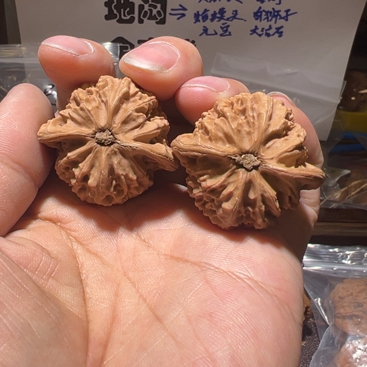 血***子核桃全品无修宫灯