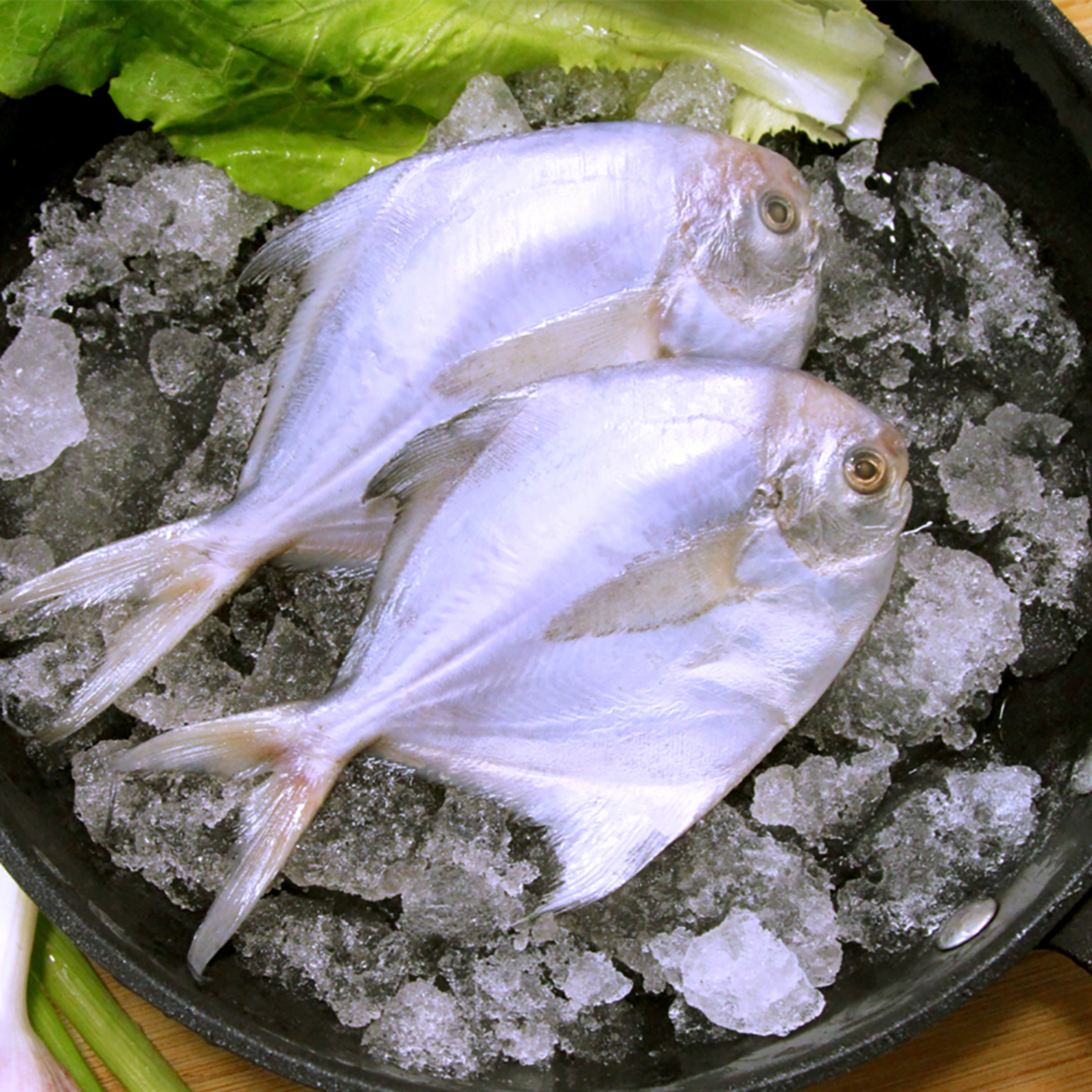 新鲜速冻 海捕鲳鱼 3斤