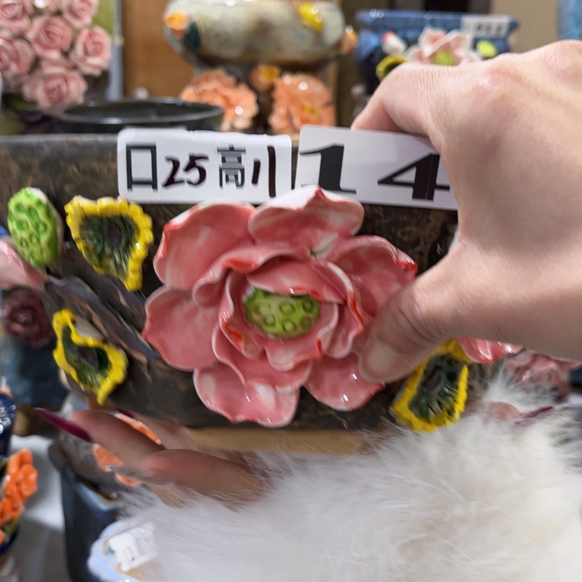 【闪购商品】红陶福利