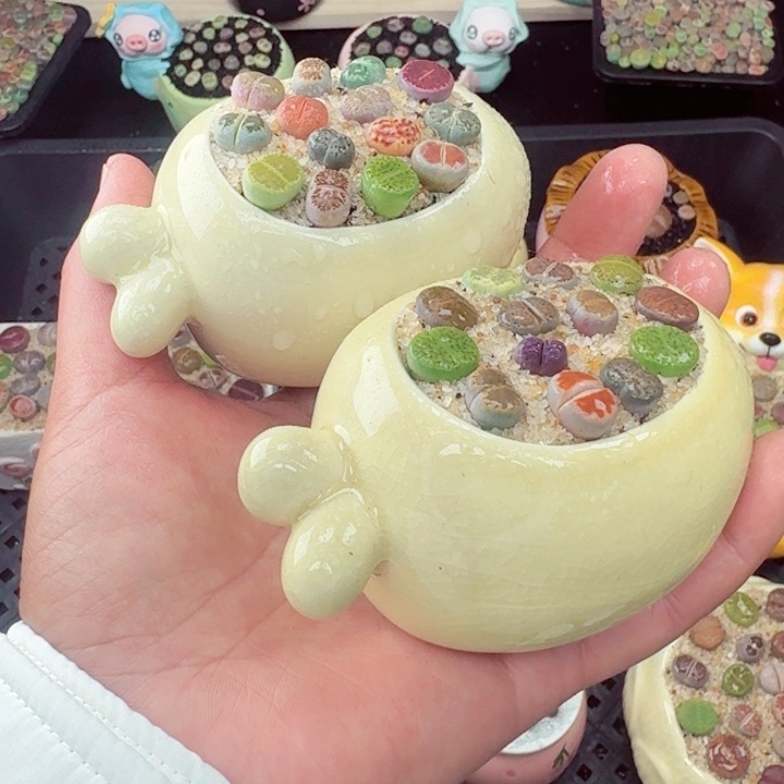 554零下地区记得拍保温箱