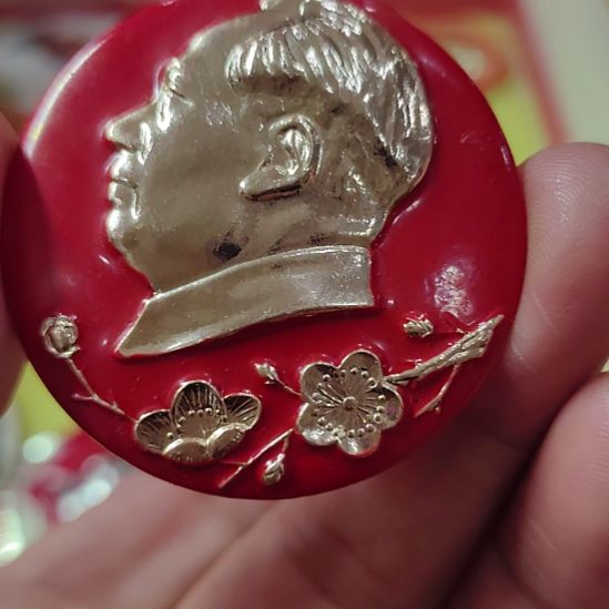 隐***山其他普通金属纪念章