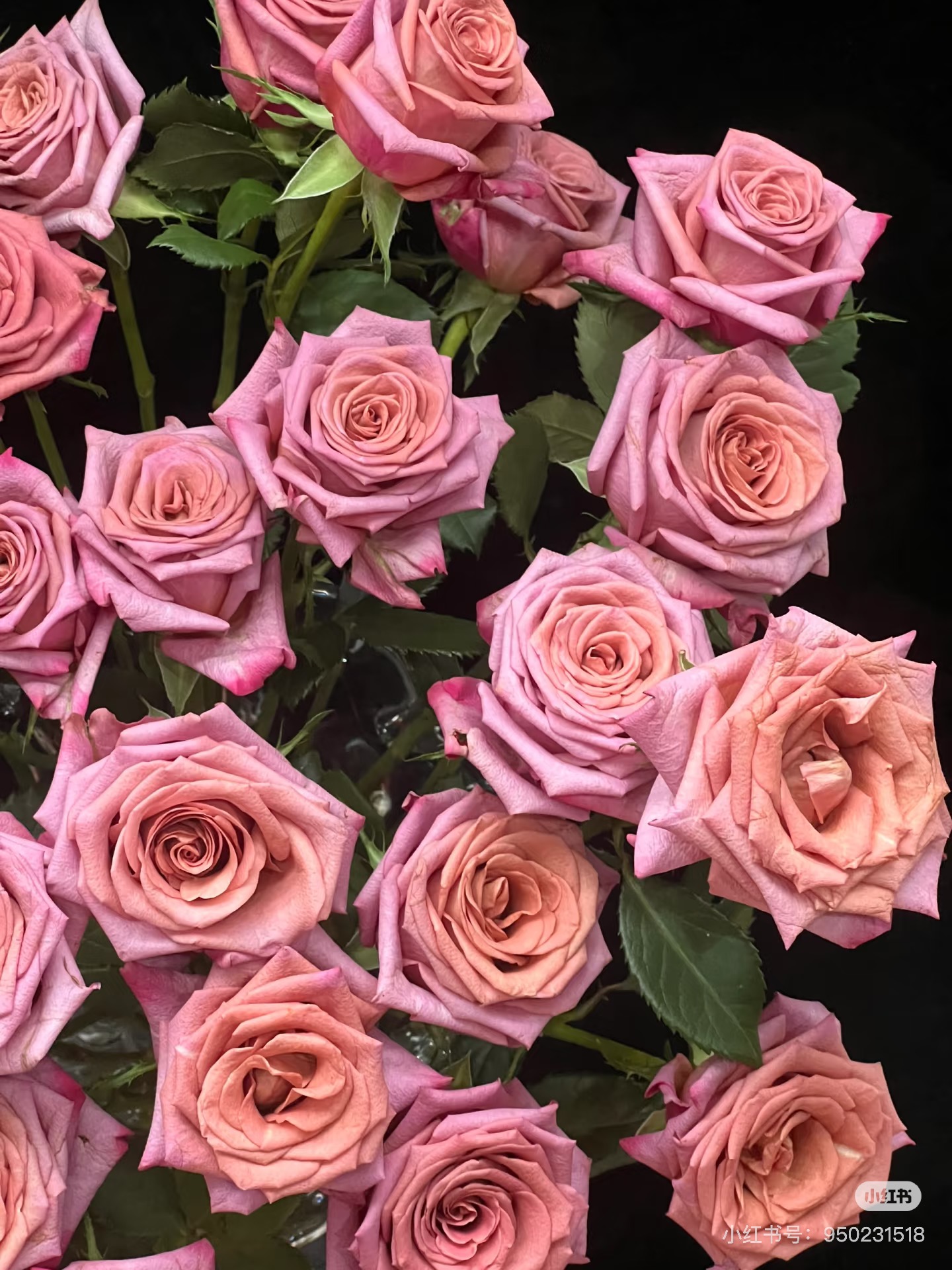 【董小姐】调香师多头头帝王玫瑰A级鲜花云南直发顺丰包邮