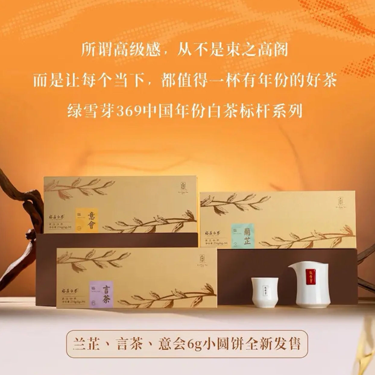绿雪芽老白茶2022年牡丹寿眉小圆饼茶兰芷礼盒234g新品