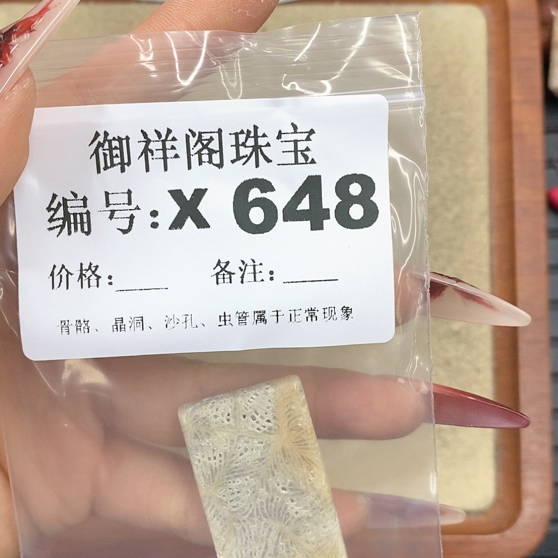 硅化珊瑚（珊瑚玉）颈饰未镶嵌冬*