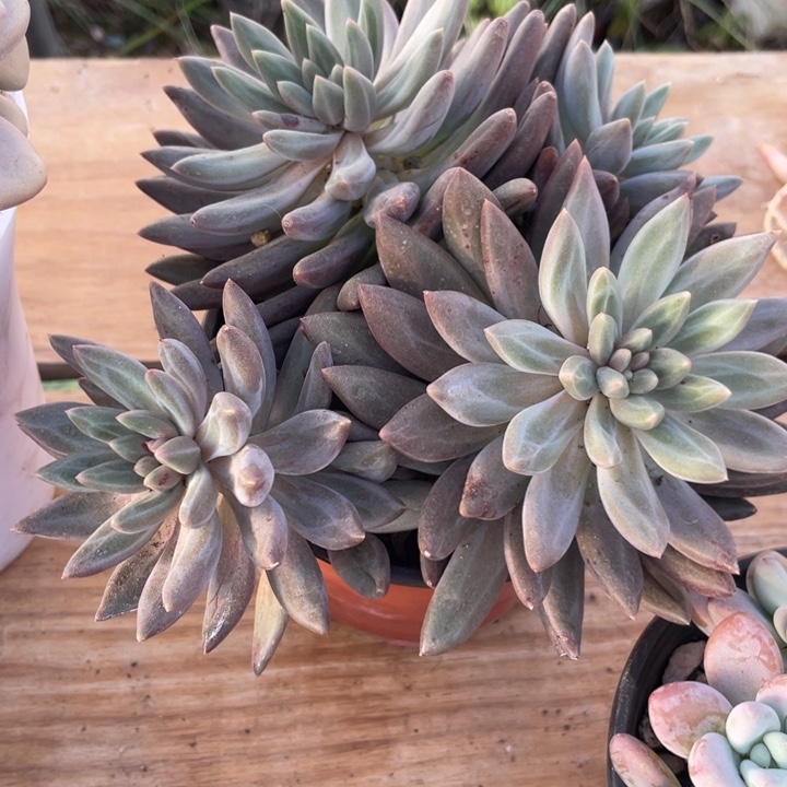 ～***～哈哈哈哈哈哈哈哈哈哈哈哈