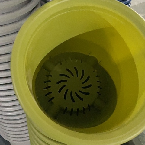 树脂四季6号微瑕果绿无托7个