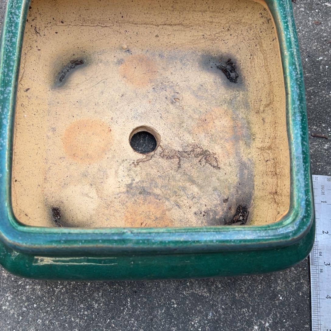 T***B福利优惠一物一拍