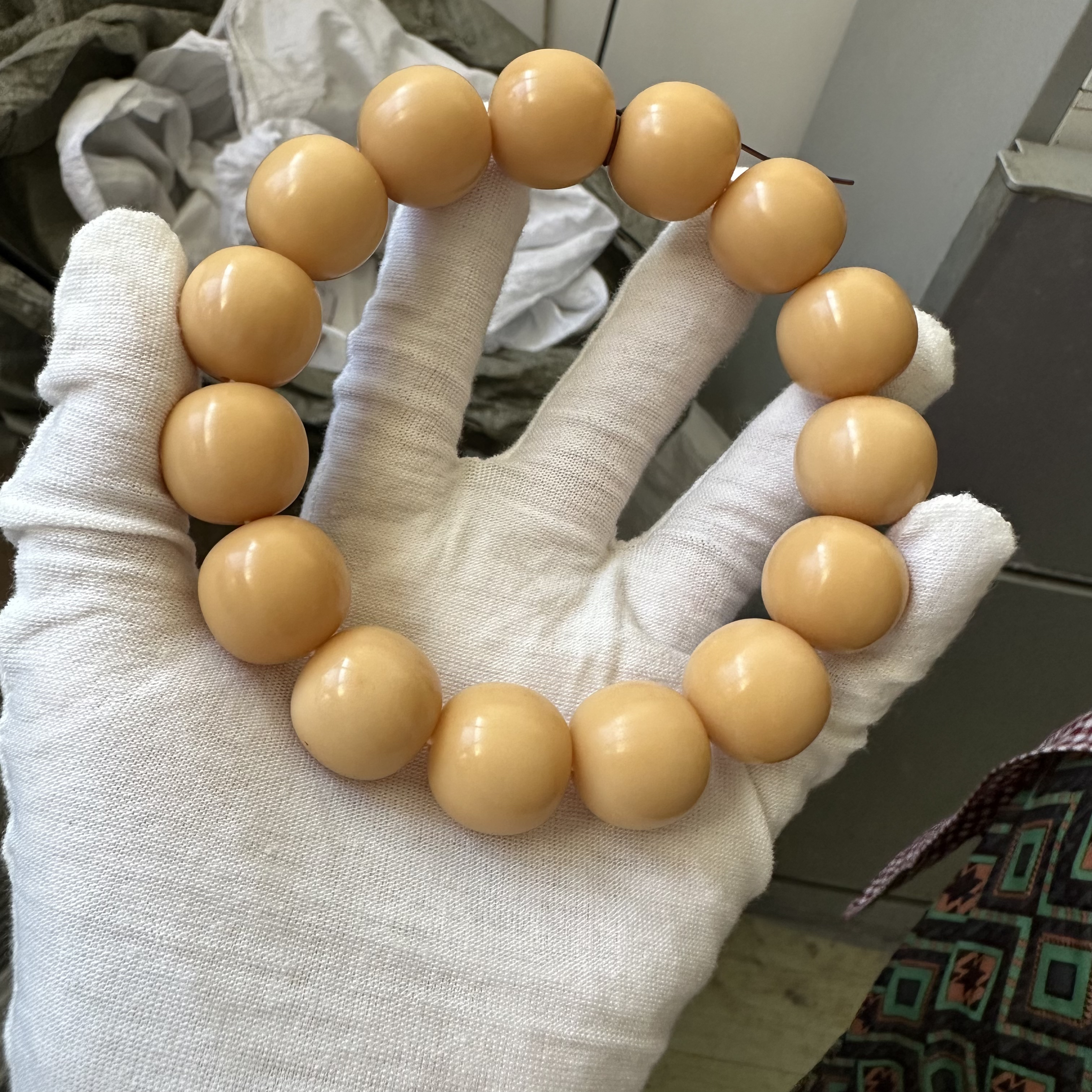 菩提根干磨卡19树王一条