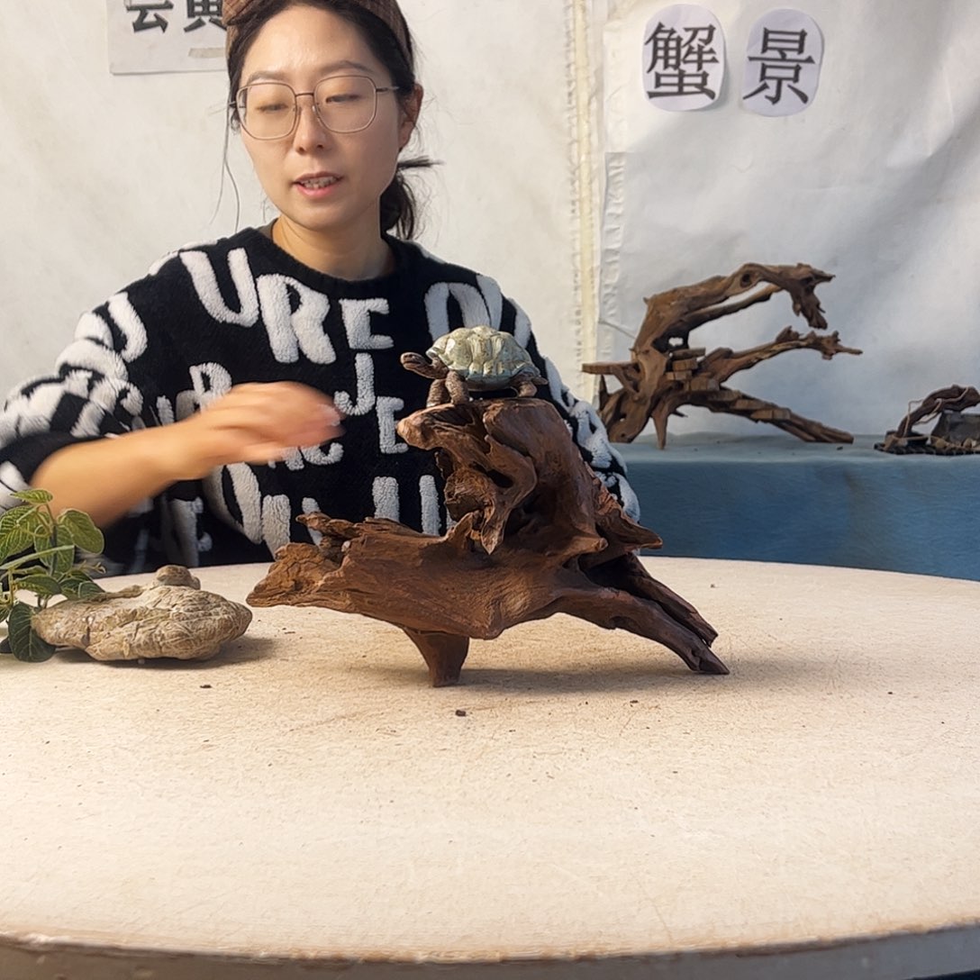 日**归沉木造景爬宠造景