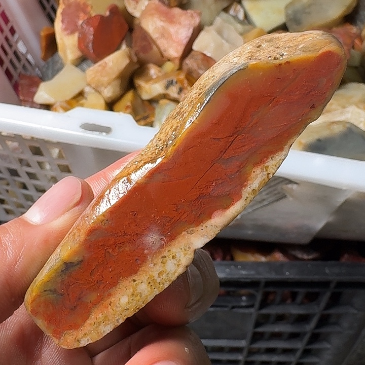 大***漠寿山石寿山石的种类