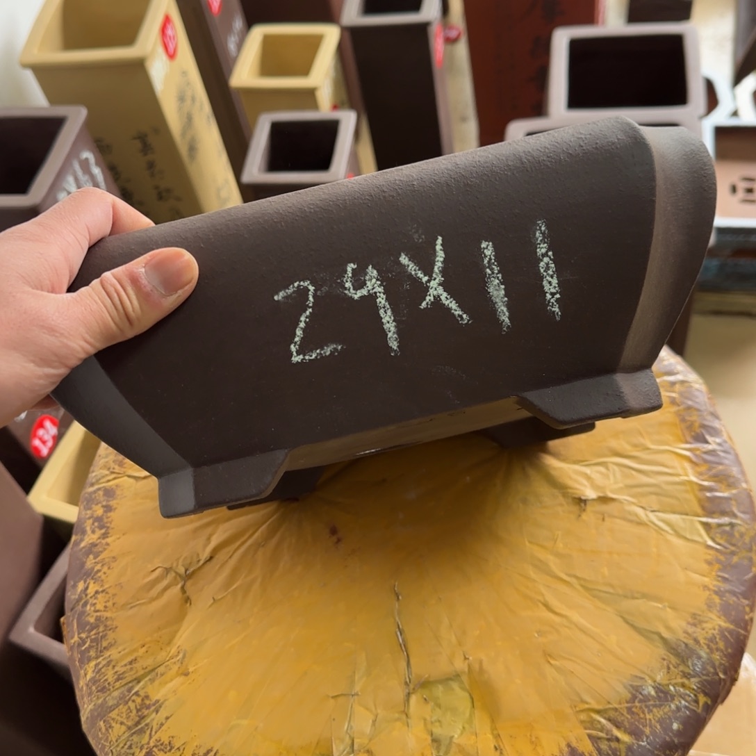 紫砂花盆呜呜呜我的小可爱