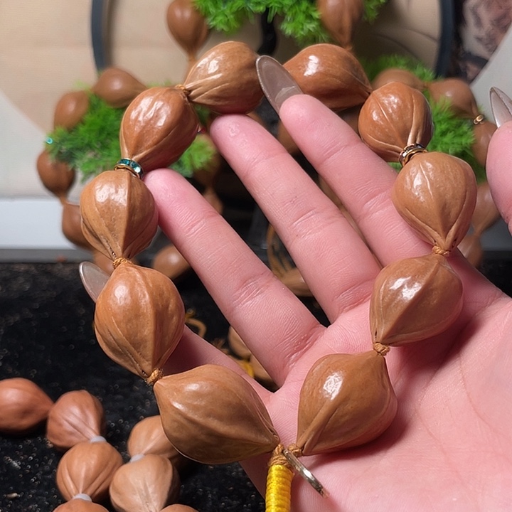 橄榄核手串/手链2.1鹦鹉手持10十全十美