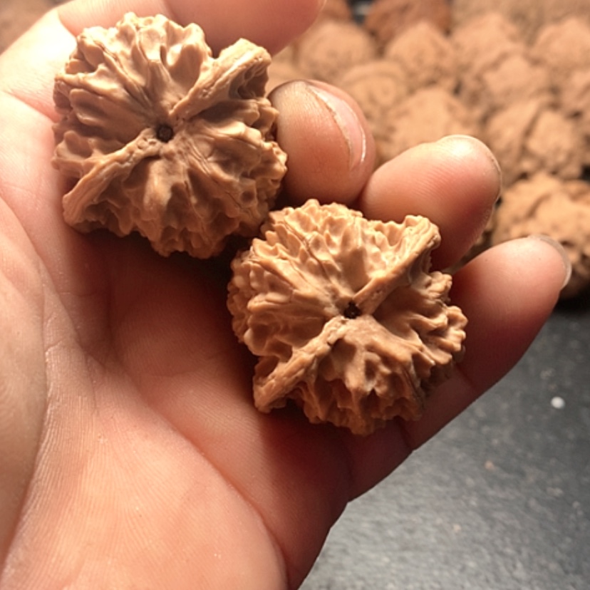 【闪购商品】尘*平果