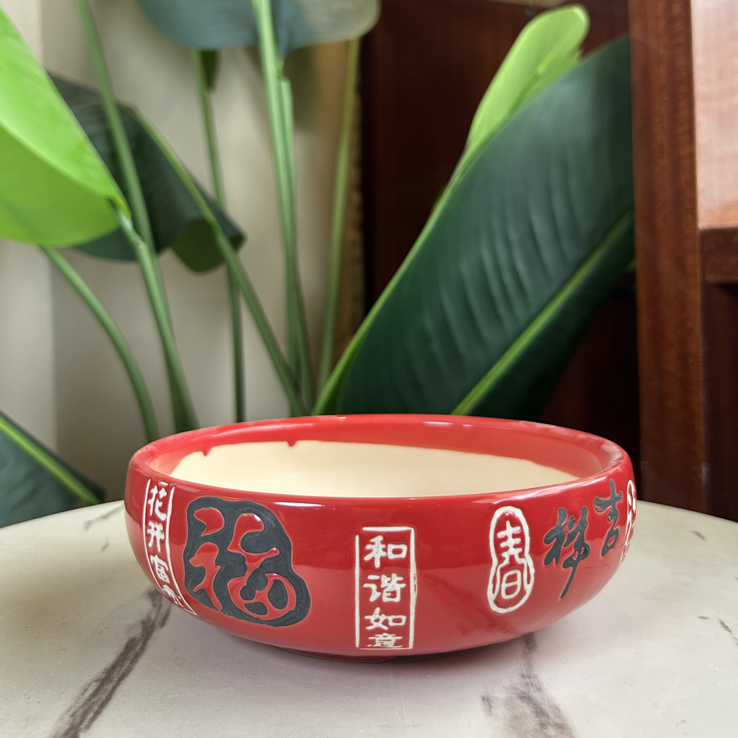 D154口17高6多肉拼盘苔藓球水仙花郁金香花盆