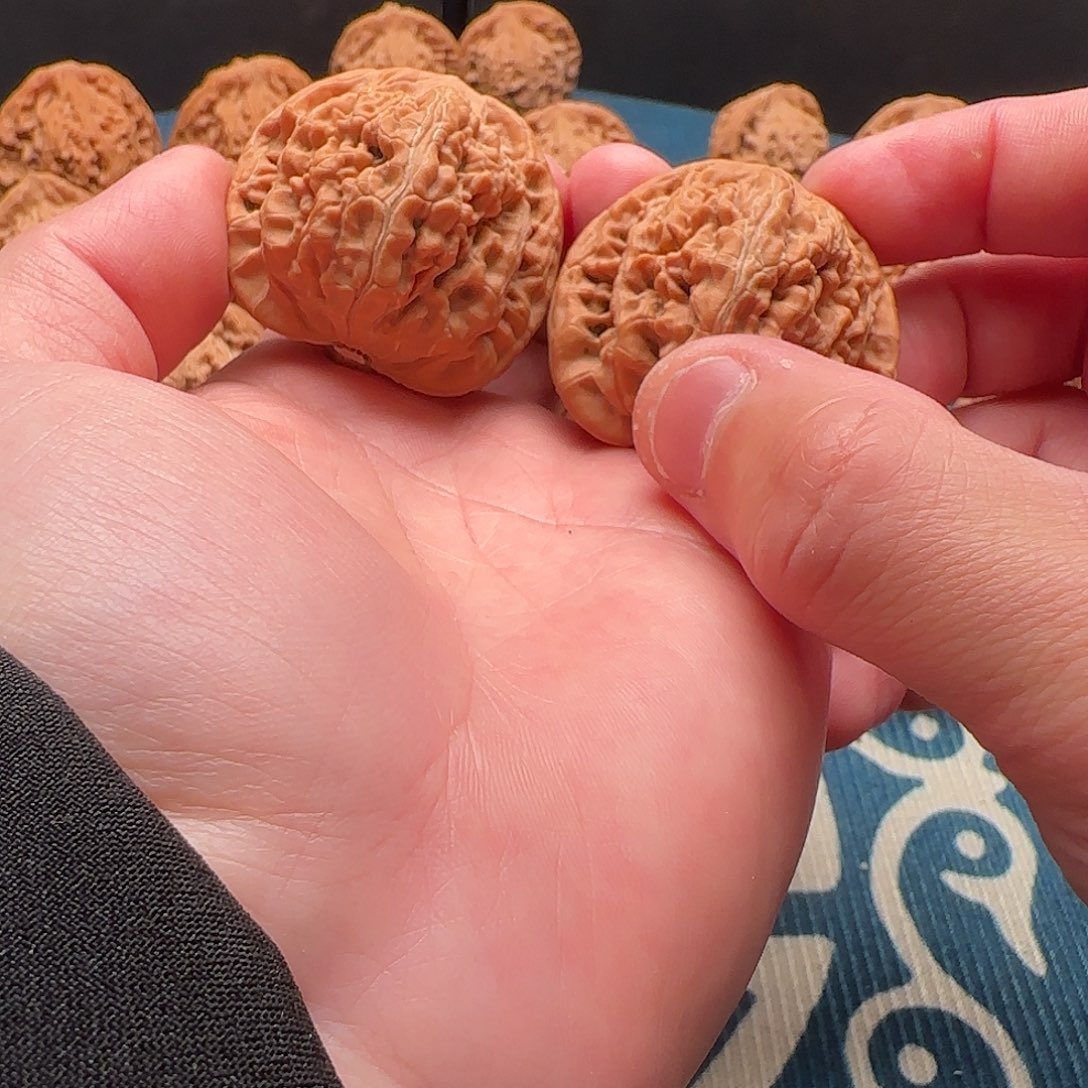 桃核吊坠望月核桃