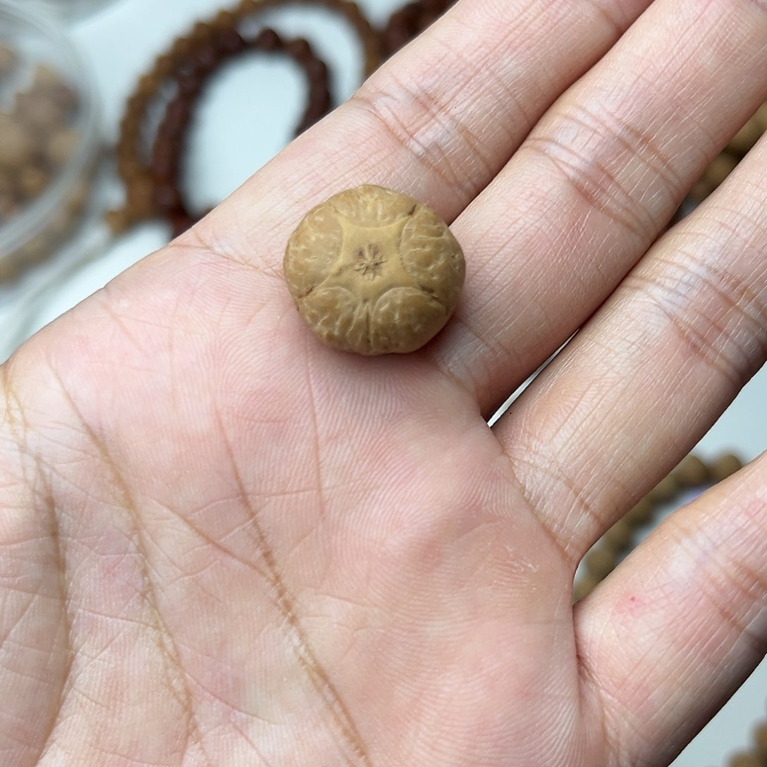 凤眼菩提手串航**代五星三通