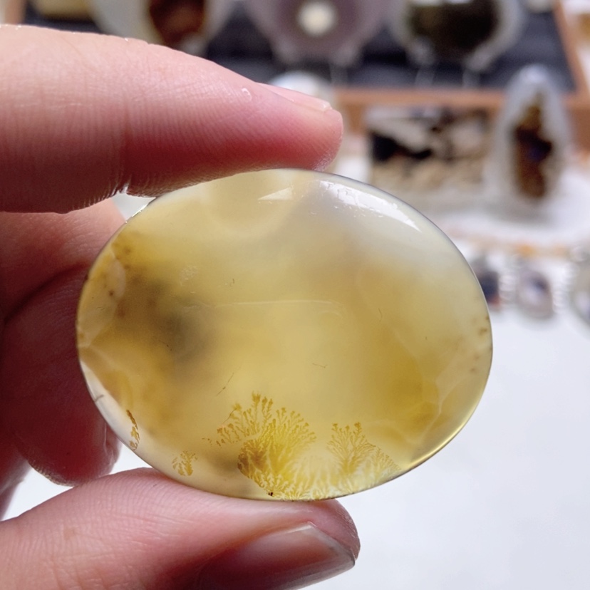 【闪购商品】玛瑙/玉髓颈饰未镶嵌