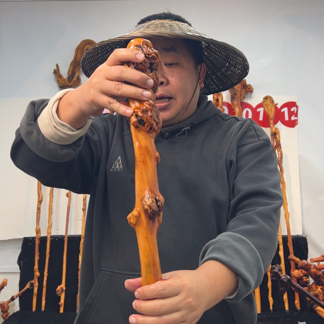 其他黑果木黑果木577