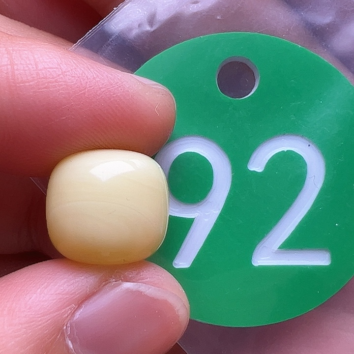 蜜蜡裸石未镶嵌有**鱼12+m m