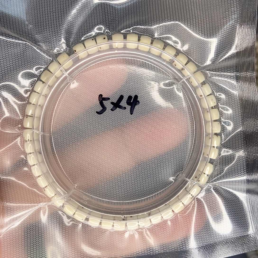 星月菩提手串星月