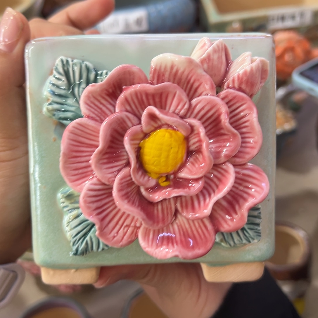 满20飞花盆爱退款拉黑