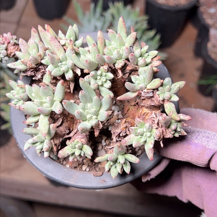 1346哈哈哈哈哈哈哈