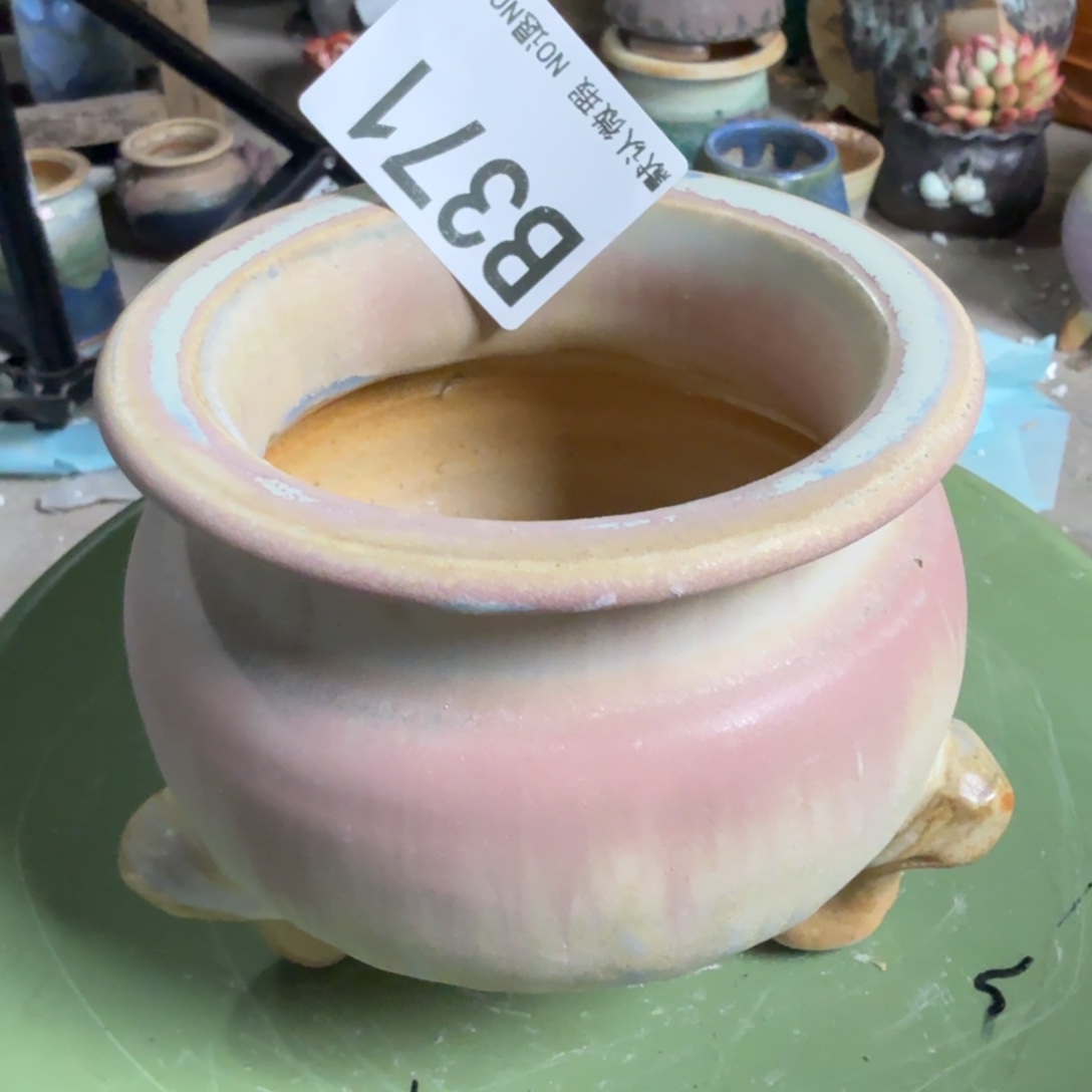 重庆小燕子欢迎大家，